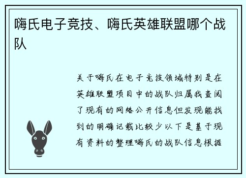 嗨氏电子竞技、嗨氏英雄联盟哪个战队